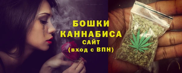 хмурый Новозыбков