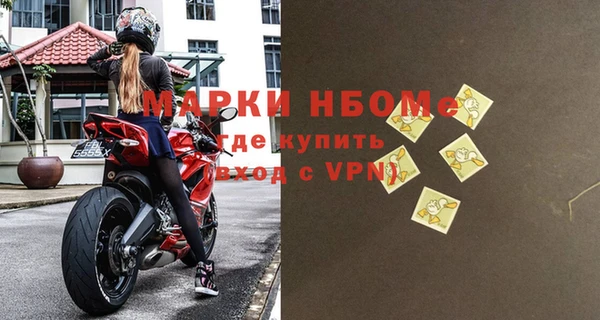 ешки Новодвинск