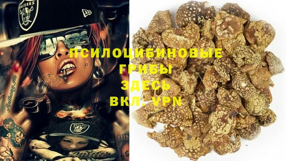 хмурый Новозыбков