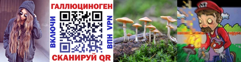 Псилоцибиновые грибы Psilocybe  МЕГА tor  darknet какой сайт  Кондрово 